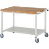 Fahrbare Werkbank Serie 8000 Gestellbauweise 1 Ablageboden BxT 1250 x 900 mm. TAKKT Industrial & Packaging