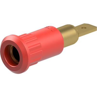 Stäubli EB4-IF/A Einpressbuchse 4 mm vergoldet Flachstecker rot-0