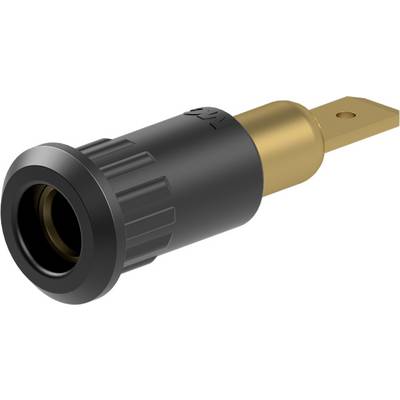 Stäubli EB4-IF/A Einpressbuchse 4 mm vergoldet Flachstecker schwarz-0