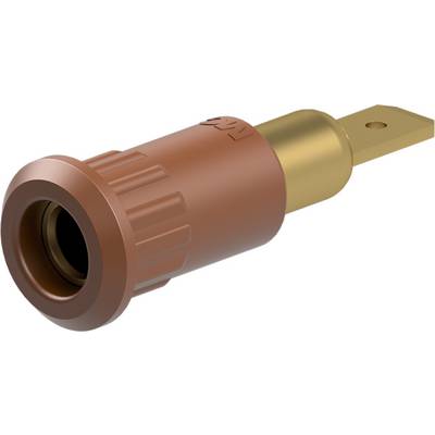 Stäubli EB4-IF/A Einpressbuchse 4 mm vergoldet Flachstecker braun-0