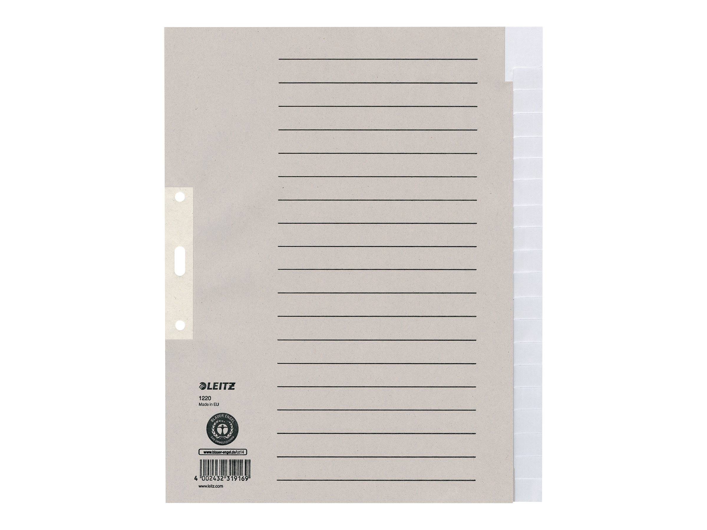 Trennelement - 20 Teile - für A4 Plus (210 x 330 mm)-0