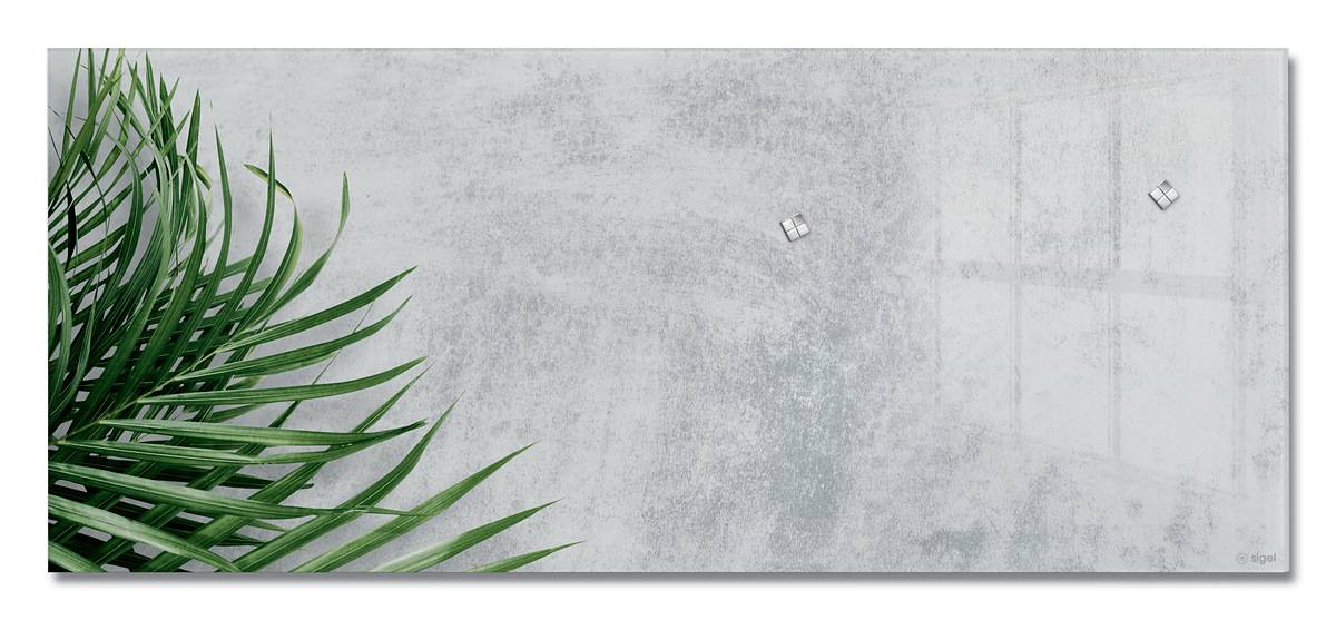 SIGEL Glas-Magnettafel Artverum - Design Botanic - 130 x 55 cm - grau, grün - Sicherheitsglas - TÜV-geprüft-0