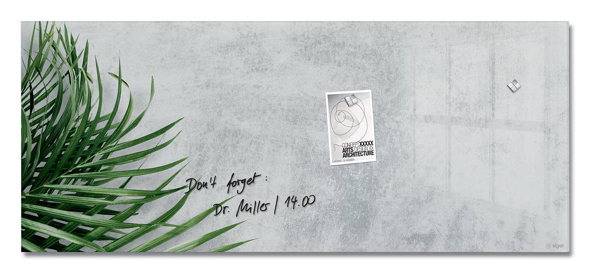 SIGEL Glas-Magnettafel Artverum - Design Botanic - 130 x 55 cm - grau, grün - Sicherheitsglas - TÜV-geprüft-1