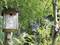 'Nistkasten aus Holz auf einem Baum mit umgebendem Laub. Ein kleines Vogel sitzt am Eingang des Kastens. Im Hintergrund ist eine Kamera sichtbar.'