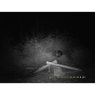 Berger & Schröter SG880MK18M/HD Wildkamera 18 Megapixel Black LEDs, Fernbedienung, GSM-Modul, Tonaufzeichnung Camouflage-3