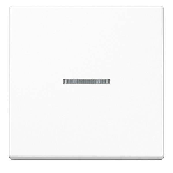 Jung KNX RF Taster 1fach A 10911 ST RF BF WW-0