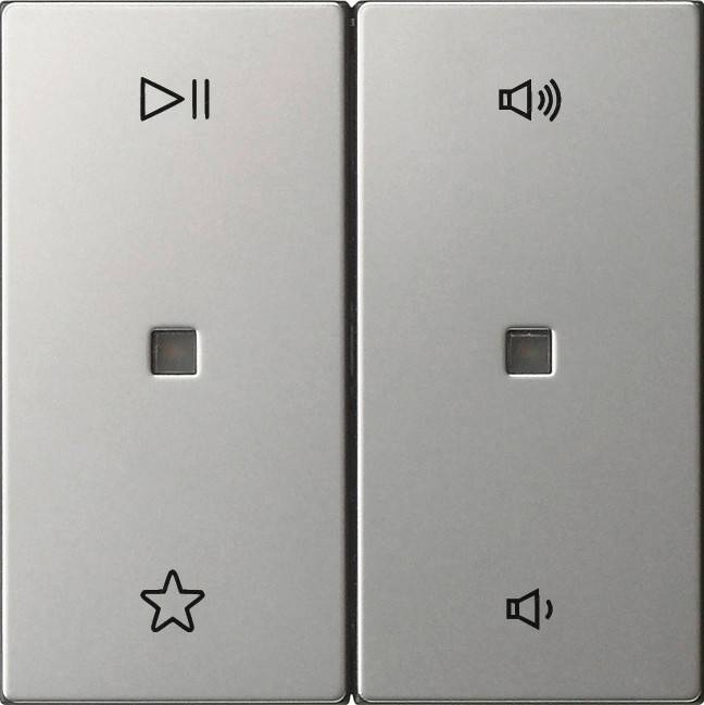 Gira Wippe 2f Audiostrg 5384600-0