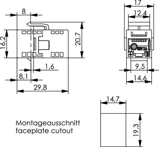24 Stk. Telegärtner UMJ-Kupplung K Cat.5e 100023-1