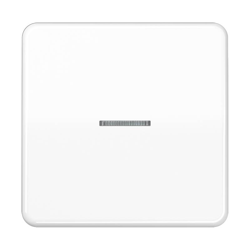 Jung Taster 1fach BT CD 17101 BR-2
