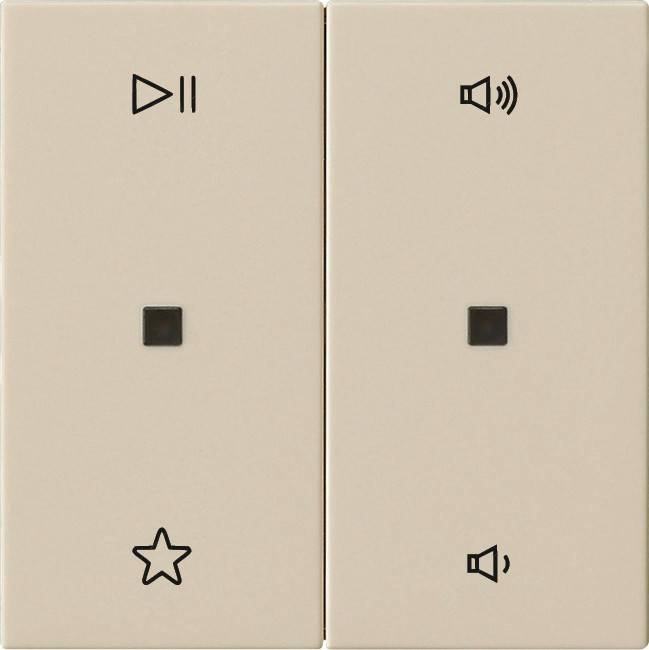 Gira Wippe 2f Audiostrg System 538401-0