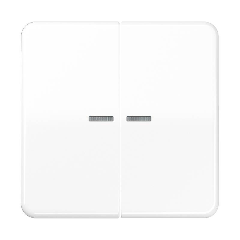 Jung Taster 2fach BT CD 17102 BR-2