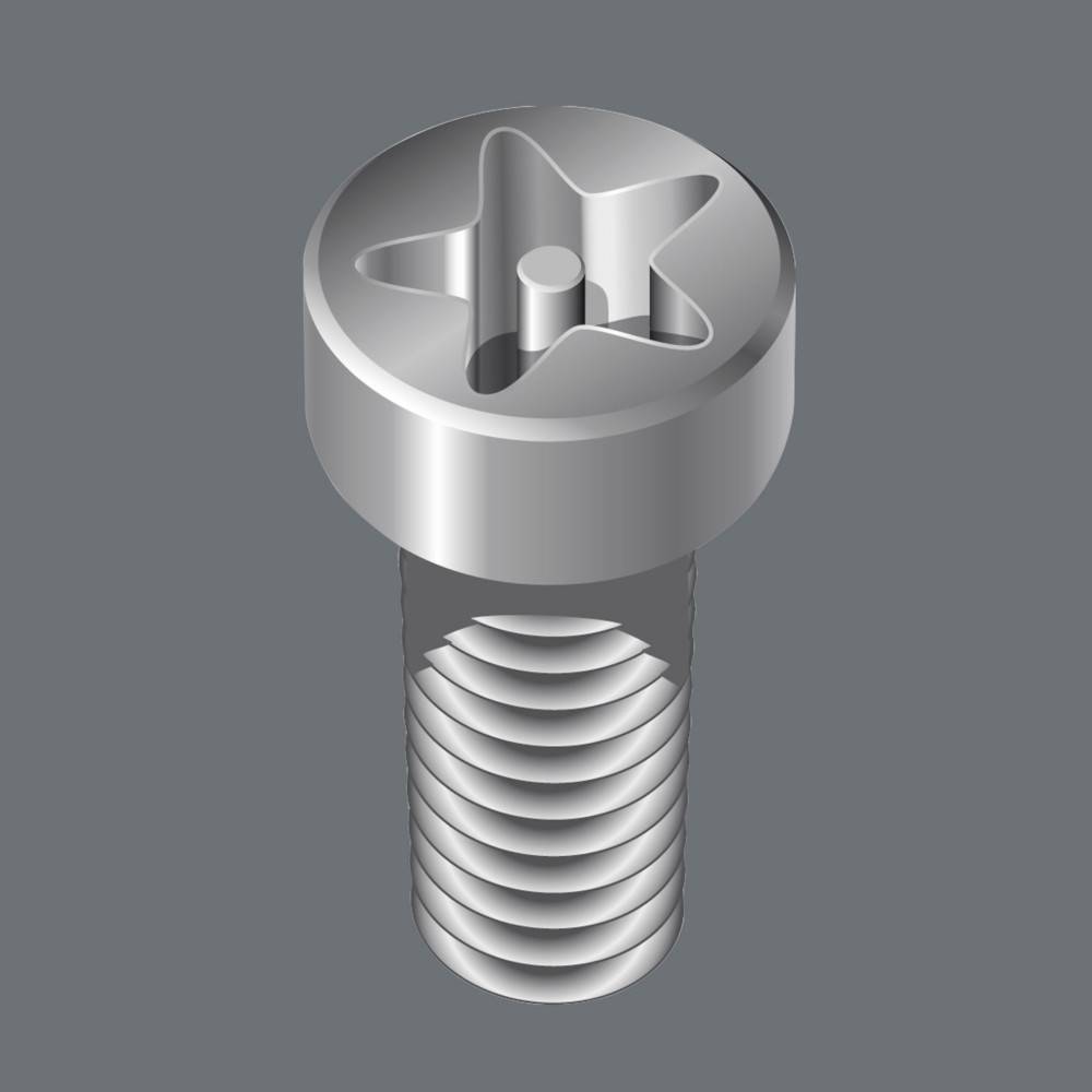 867/4 IPR TORX PLUS Bits mit Bohrung, 20 IPR x 89 mm-1