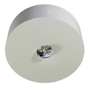 RP-Technik Sicherheitsleuchte ILDL421WL