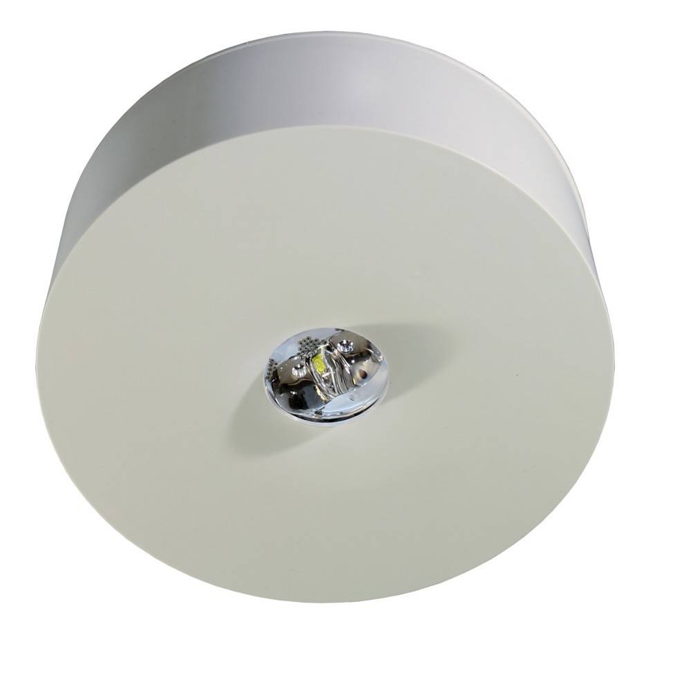RP-Technik Sicherheitsleuchte ILDL423WL