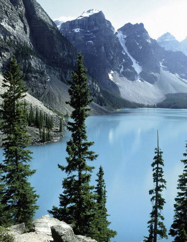 Ein türkisfarbener Bergsee vor schneebedeckten Gipfeln, umrahmt von Tannen, unter klarem Himmel.