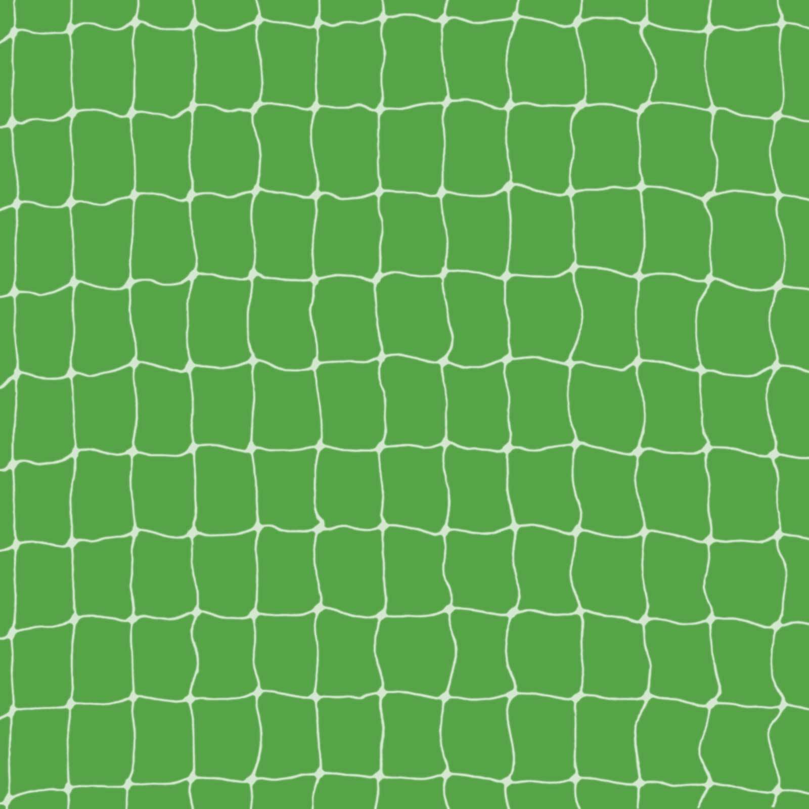 Katzenschutznetz 4 x 3m transparent / weiß-1