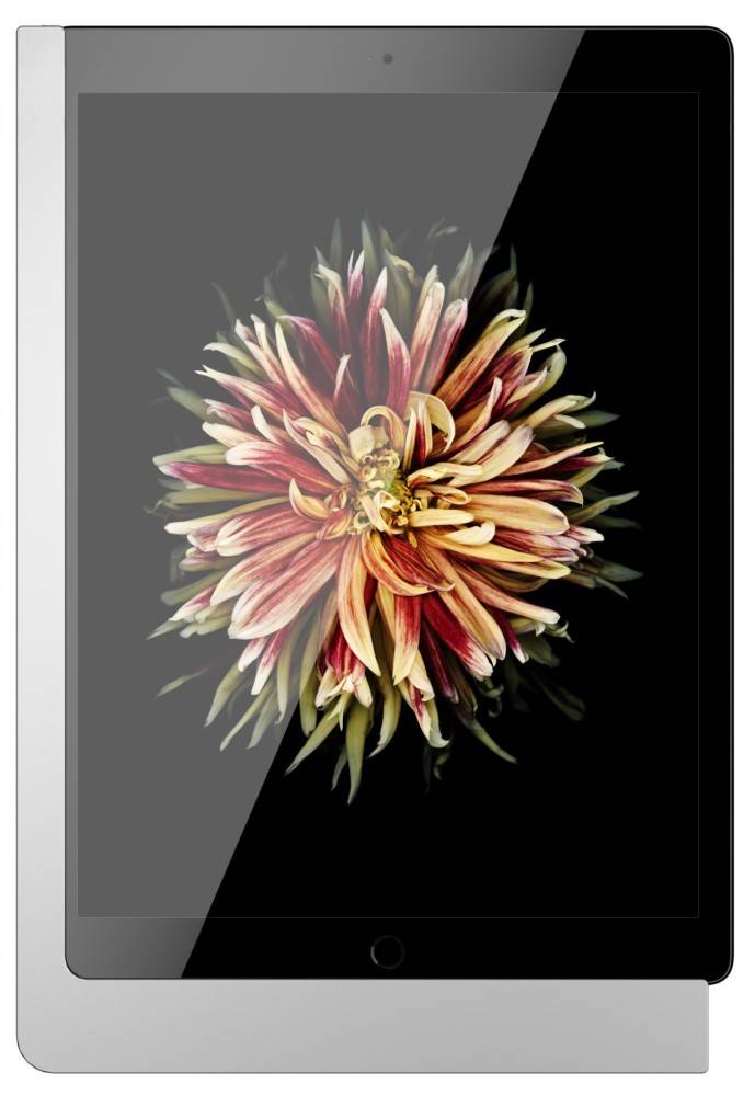 Viveroo iPad Wandhalterung 510180LAN-0