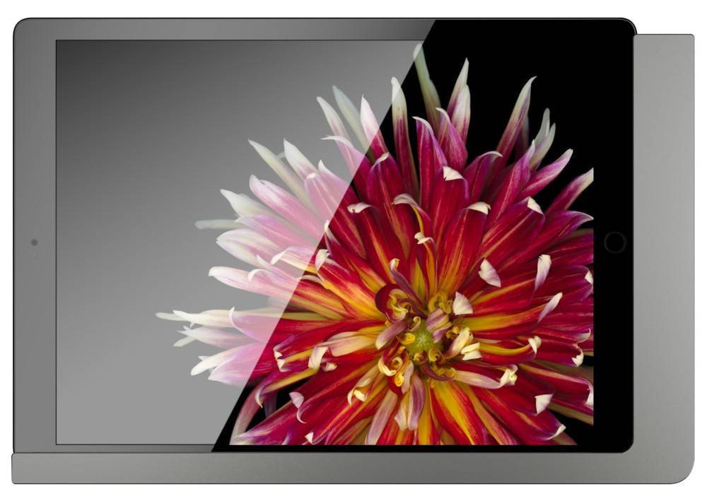 Viveroo iPad Wandhalterung 510181PD-3