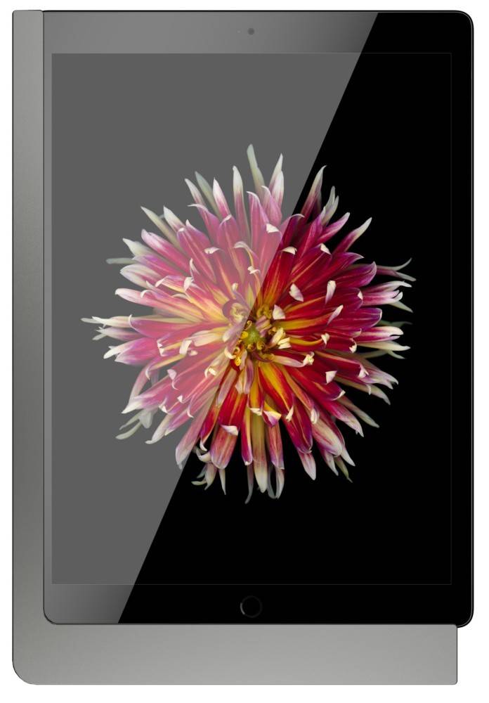 Viveroo iPad Wandhalterung 510161PD-0