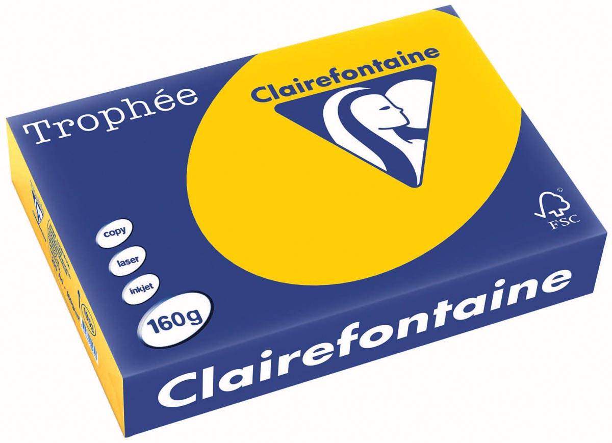 Clairefontaine Multifunktionspapier Trophée, A4, sonnen--0