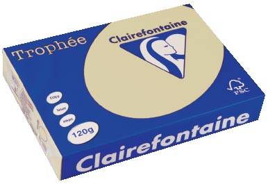 Clairefontaine Multifunktionspapier Trophée, A4, chamois-0