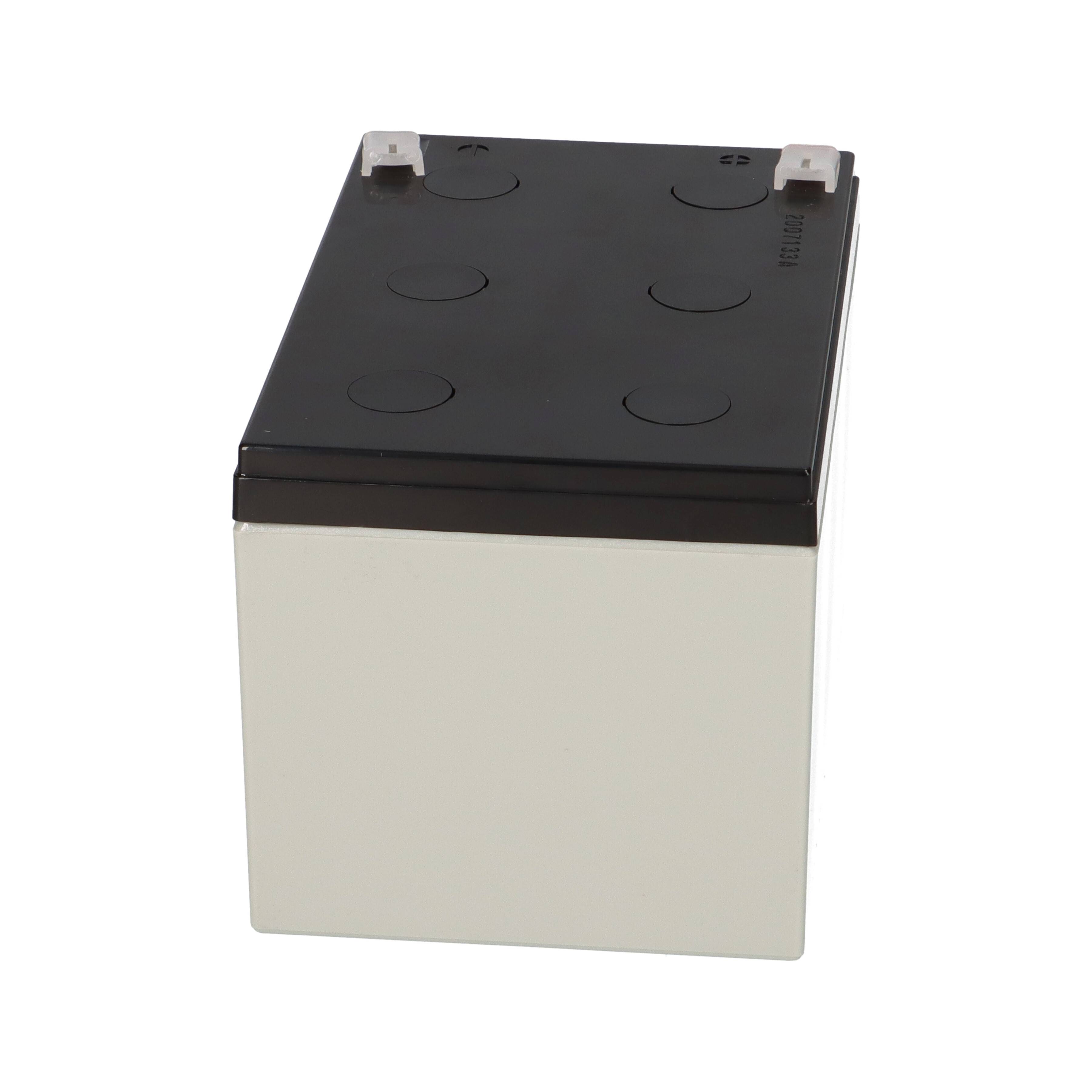 Yuasa REC14-12 zyklenfester AGM-Bleiakku 12V 14Ah – Faston F2 6,3 mm-4