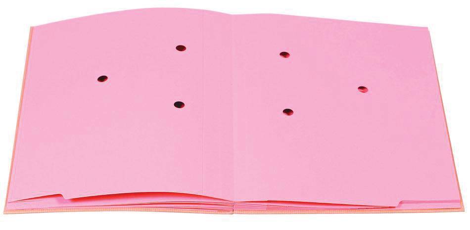EXACOMPTA Unterschriftenmappe Forever, DIN A4, 20 Fächer (8702217)-1