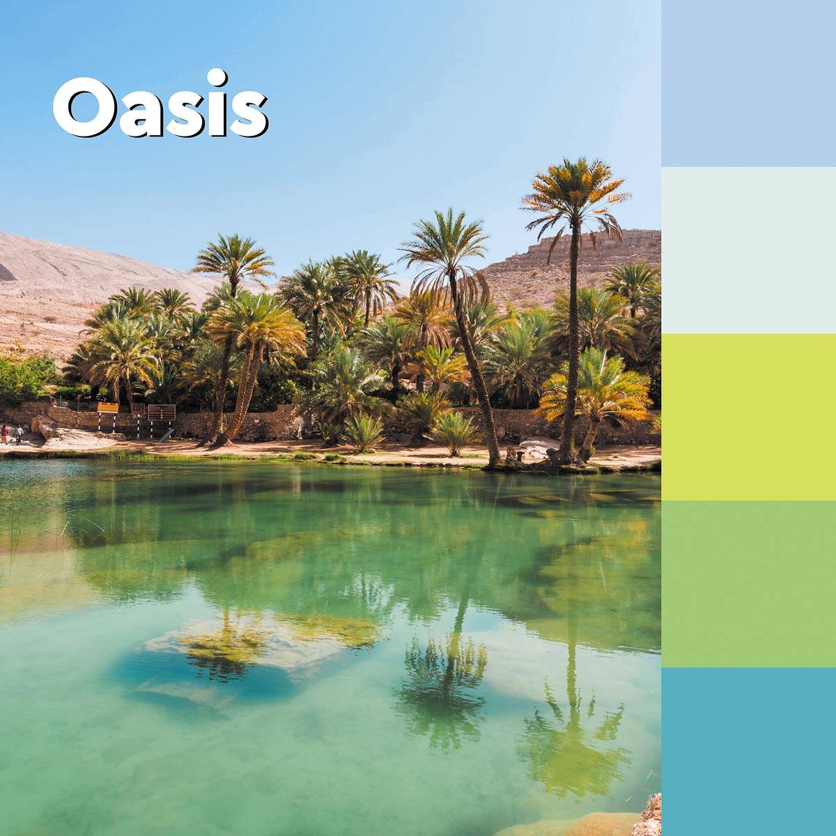 Post-it Haftnotizen super sticky notes, 76 x 76 mm, Oasis-3