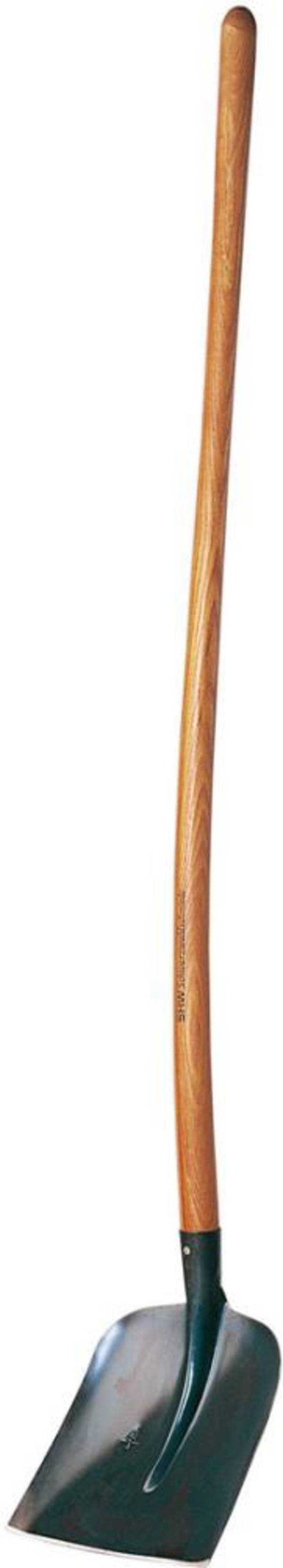 Rex-Holsteiner Schaufel m. Eschenstiel 135cm - Artikel: 4011798477109