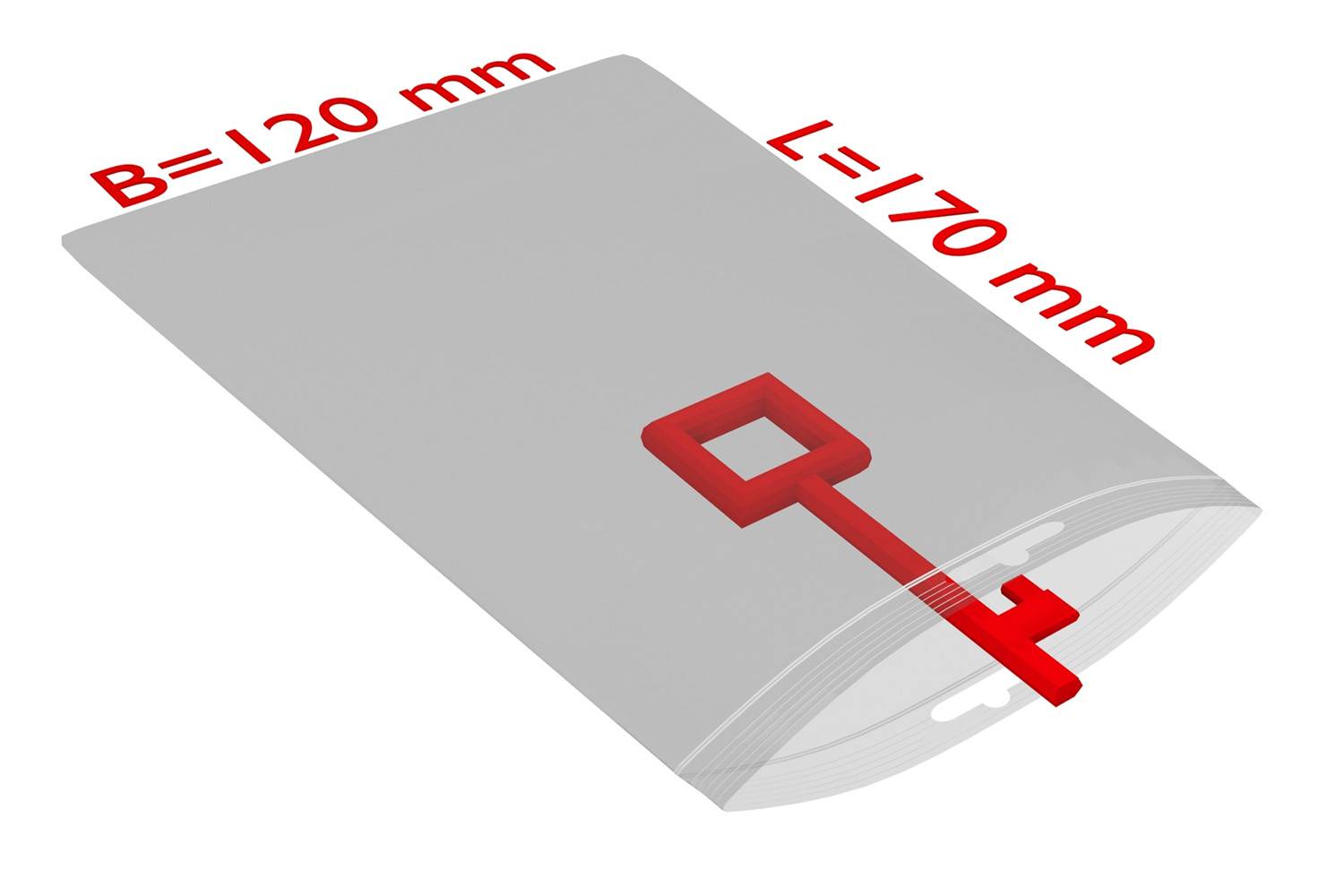 PE-Druckverschlussbeutel 120x170mm, 50µ, transparent, Eurolochung-0