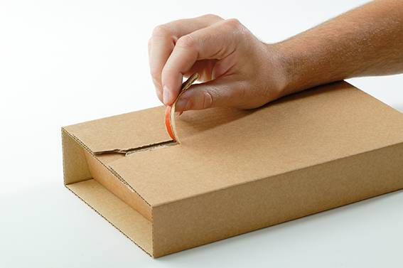 Buchverpackung Drehfix,315 x 230 x 10 - 100mm, braun mit Selbstklebeverschluss-1