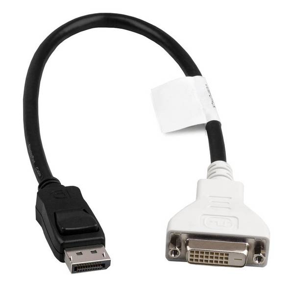 Fujitsu E003-150-RS DisplayPort auf DVI-D Adapter (ca. 40 cm Länge, schwarz)
