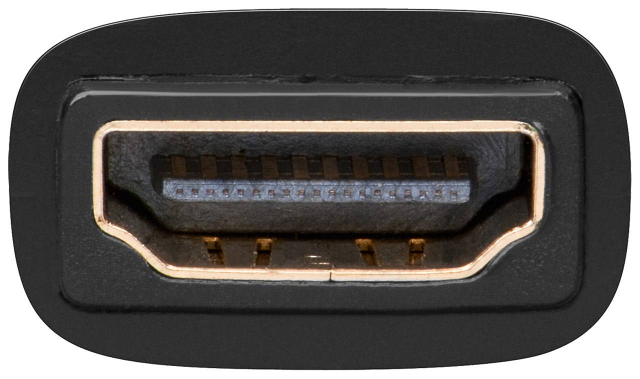 Goobay 68931 HDMI auf DVI D Adapter / WQXGA 2560×1600 @ 60 Hz / HDMI Buchse auf DVI D Stecker Dual-Link 24+1 pin Schwarz-1