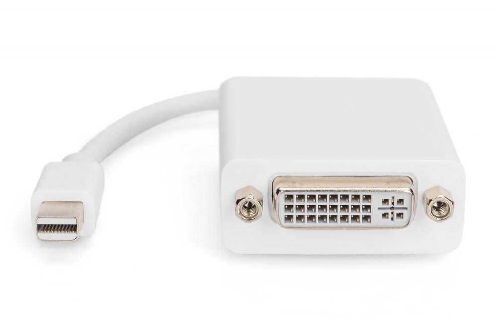 Digitus AK-340406-001-W DisplayPort / DVI Adapter [1x Mini-DisplayPort Stecker - 1x DVI-Buchse 24+5pol.] Weiß 15.00 cm-1