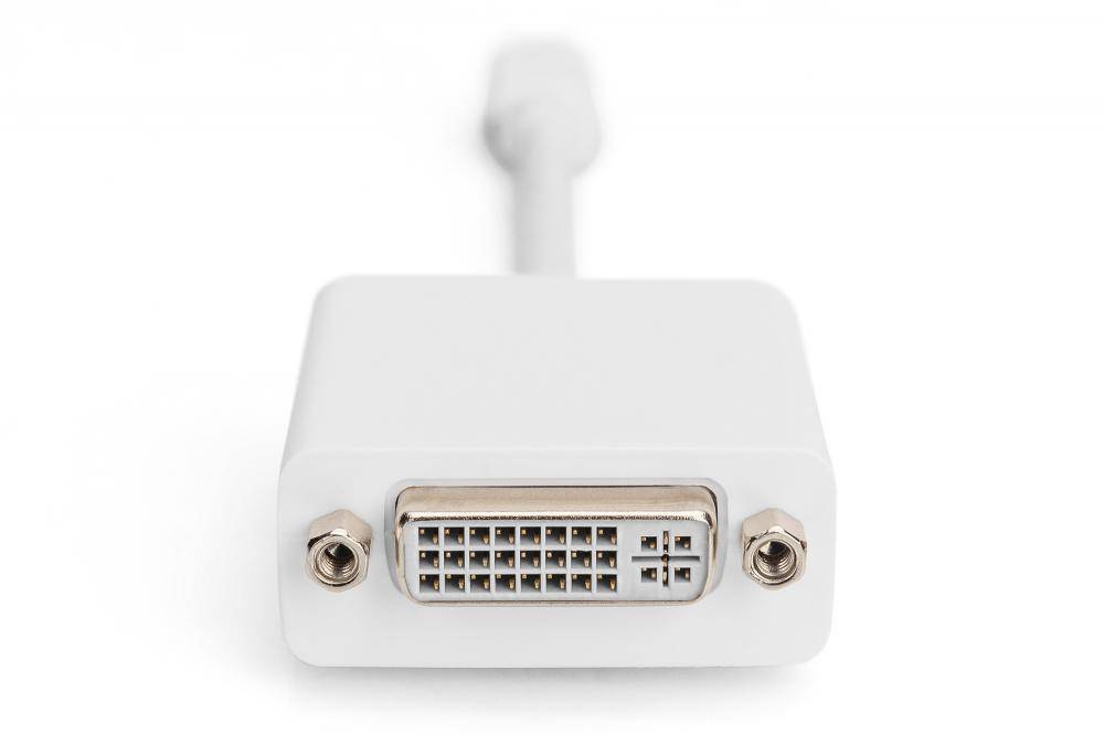 Digitus AK-340406-001-W DisplayPort / DVI Adapter [1x Mini-DisplayPort Stecker - 1x DVI-Buchse 24+5pol.] Weiß 15.00 cm-2