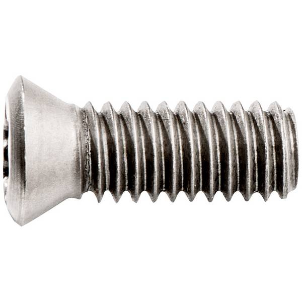 10 Befestigungsschrauben für Wendeplatten (623566000)