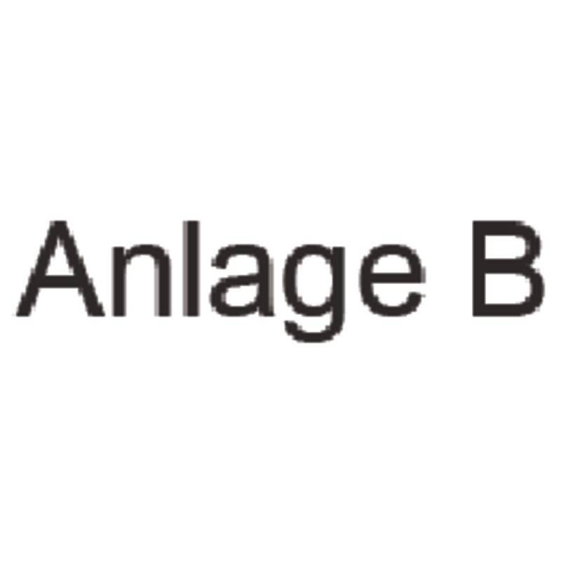 SoldanPlus Holzstempel "Anlage B"-0