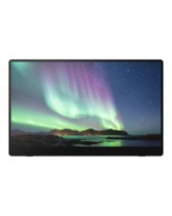 Ricoh 150 - OLED-Monitor - 39.6 cm (15.6") - tragbar - Touchscreen - 1920 x 1080