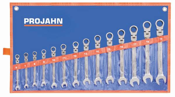Projahn GearTech Ratschenschlüssel-Set metrisch flexibel 14-teilig 6 - 19 mm