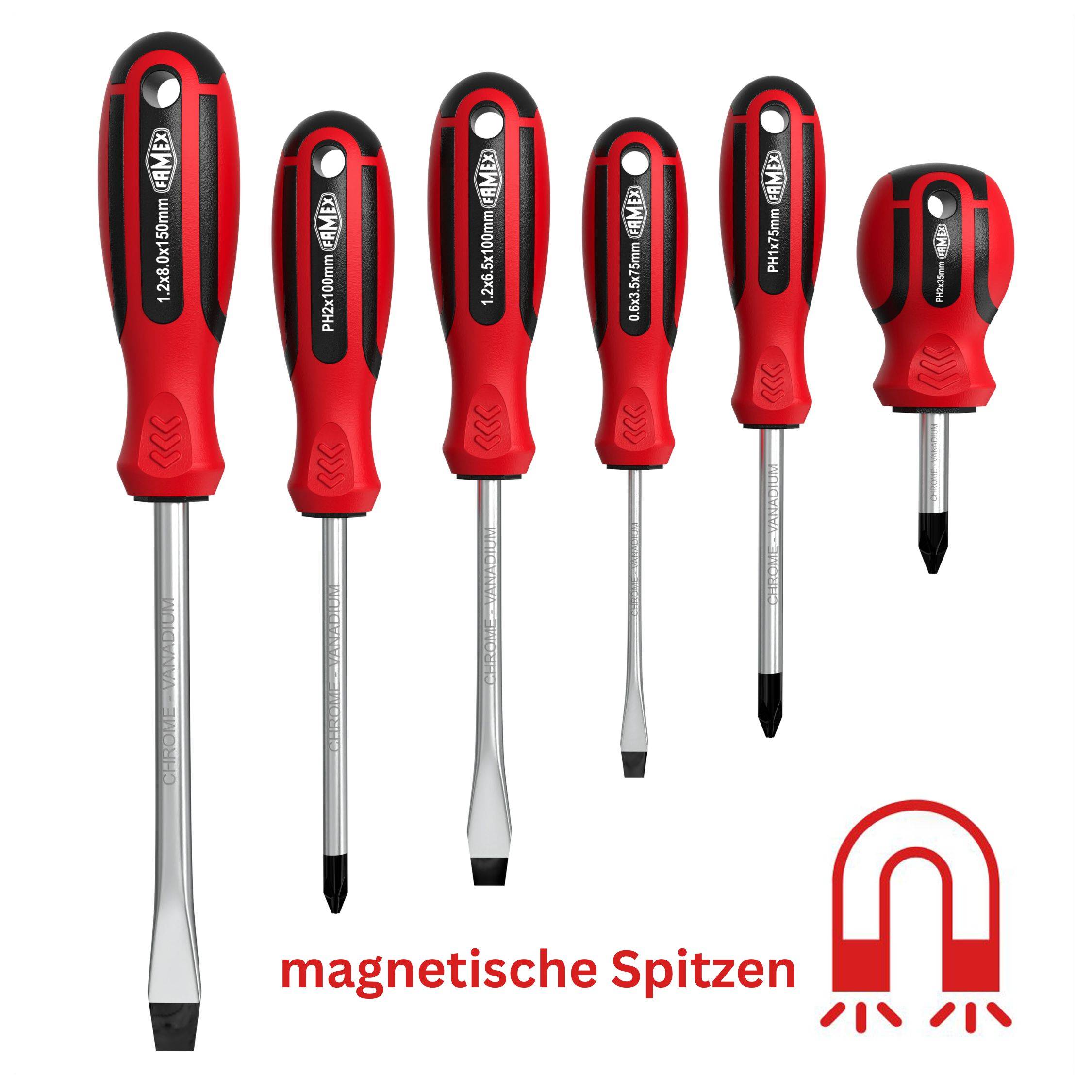 FAMEX 7751-6 Schraubendreher Set 6-tlg. - mit magnetischen Spitzen-2