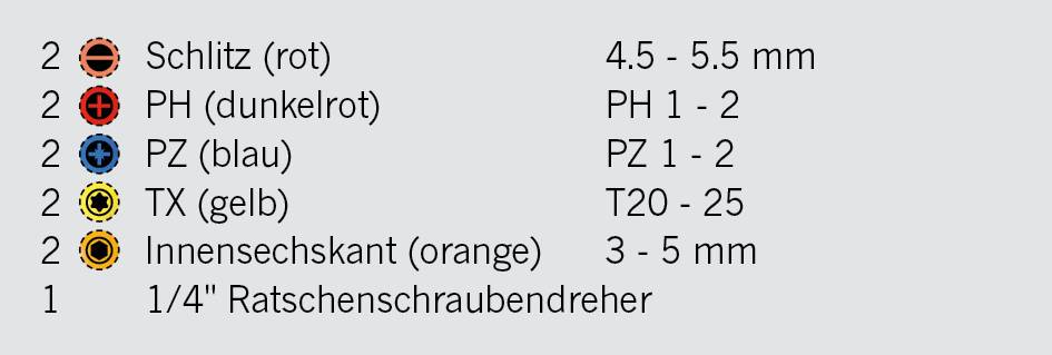 Projahn Ratschenschraubendreher mit Bitfach und 10 markierten Bits 6,3 (1/4")-2