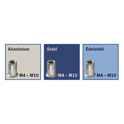 Projahn Profi Blindnietmuttern-Hebelzangen-Set mit Alu-Mutter M4 - M10 im Koffer-2