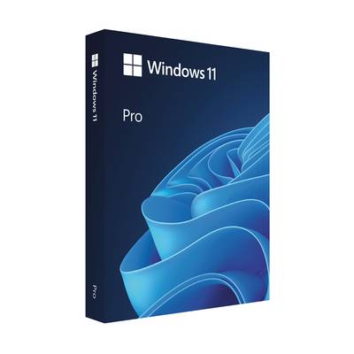 Microsoft Windows 11 Pro - Elektronischer Software-Download (ESD) - 1 Lizenz(en)