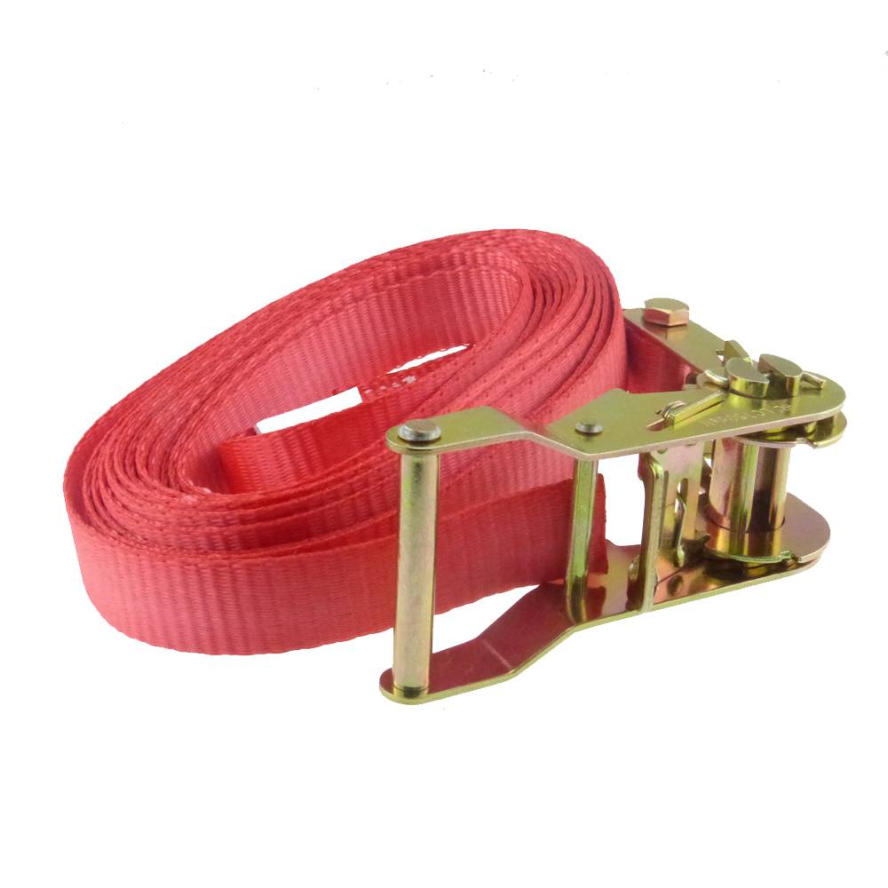 10er-Pack Zurrgurte Spanngurte Zurrgurt Spanngurt 1500 daN 1500 kg 1,5 to 1 teilig 5 m-1