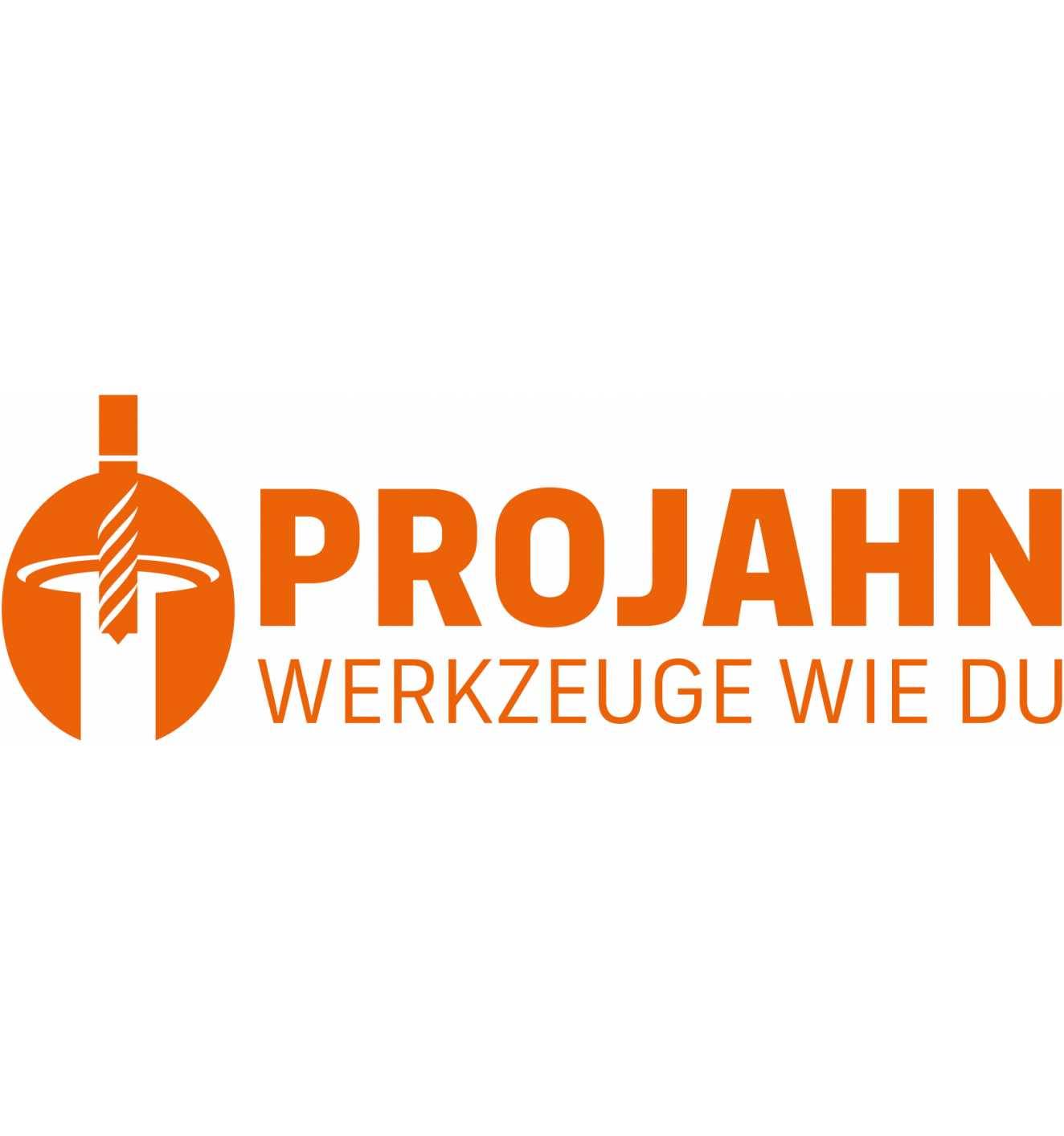 Projahn Ringgabelschlüssel-Set metrisch DIN 3113 Form A 12-teilig 6 - 19 mm-1