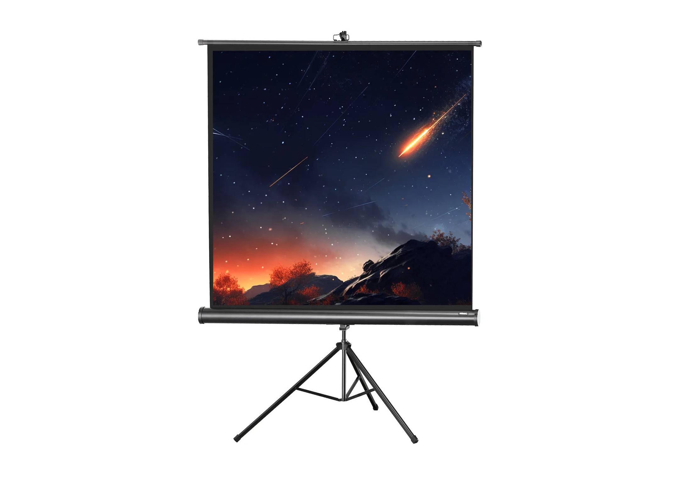 celexon Stativleinwand Economy 219 x 219 cm-0