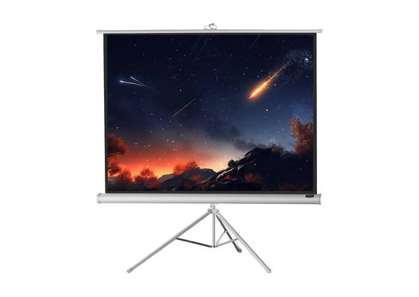 celexon Stativleinwand Economy 176 x 132 cm - White Edition