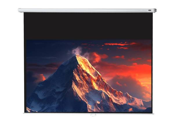 celexon Leinwand Rollo Economy 305 x 172 cm - 138"
