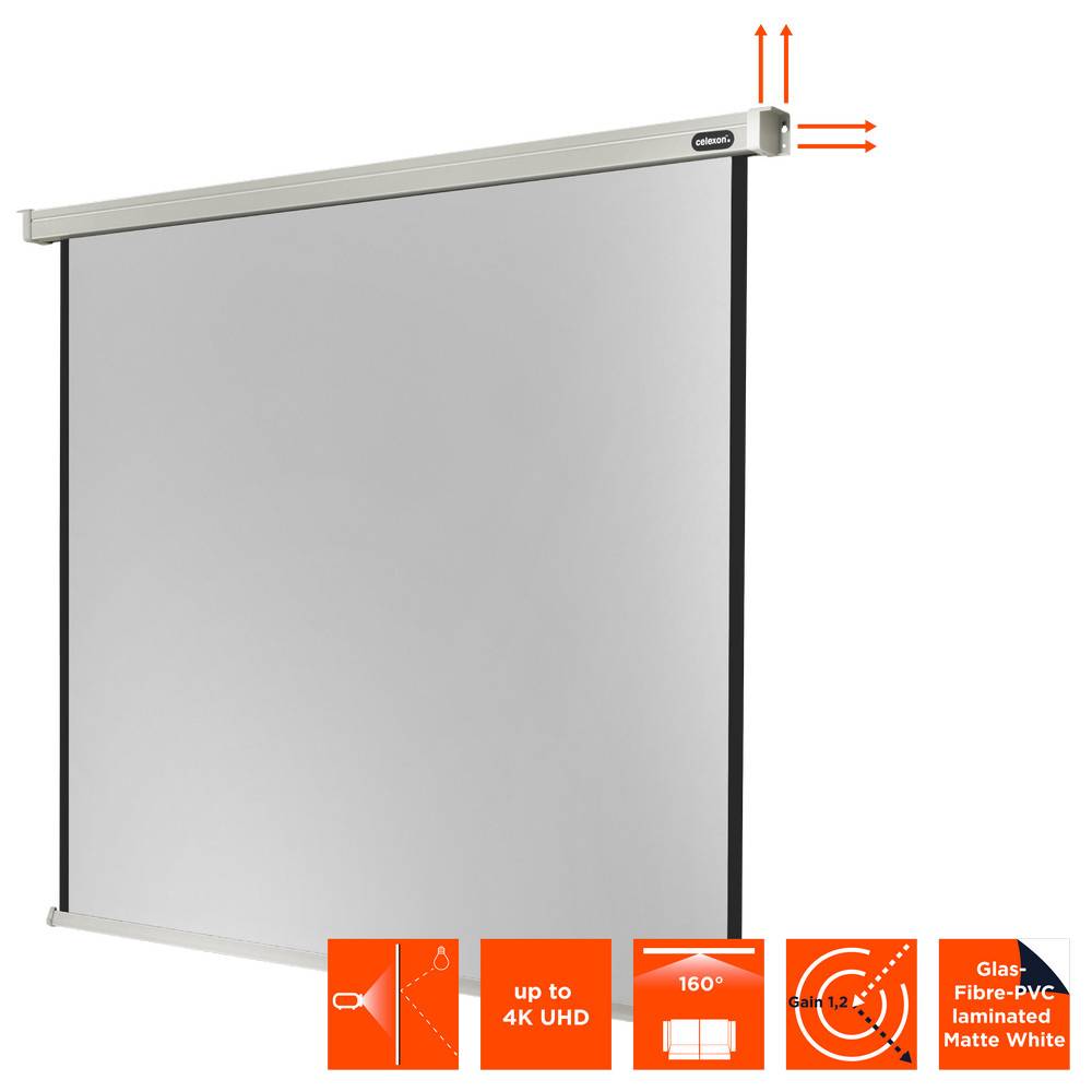 celexon Leinwand Motor Professional 200 x 200 cm-2