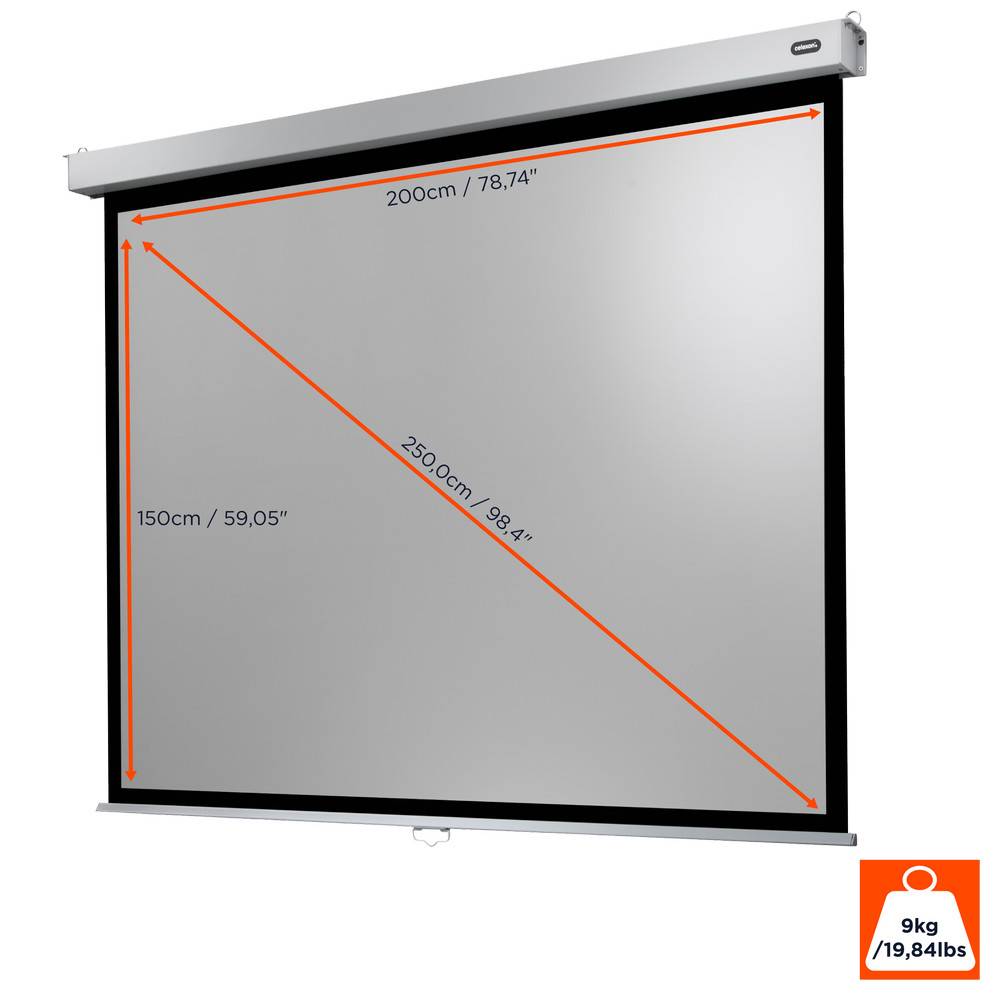 celexon Leinwand Rollo Professional Plus 200 x 150 cm - 98"-1